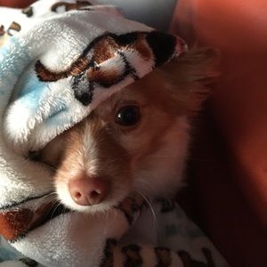 Meet your Posher, Cindi